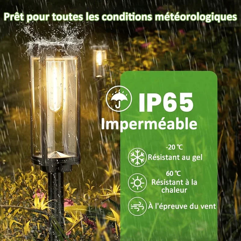 🔥 Vente Flash 49% de Réduction ✨ Lampes Solaires de Cheminement