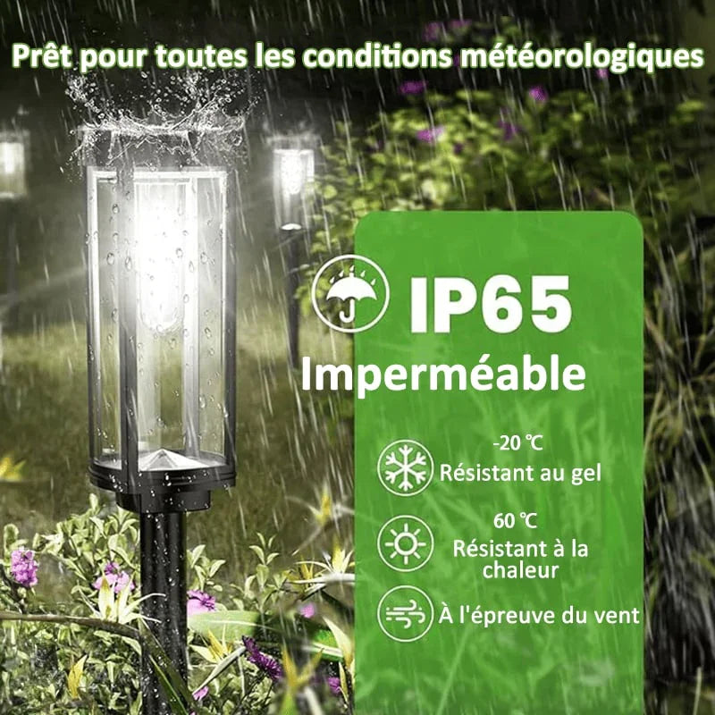 🔥 Vente Flash 49% de Réduction ✨ Lampes Solaires de Cheminement